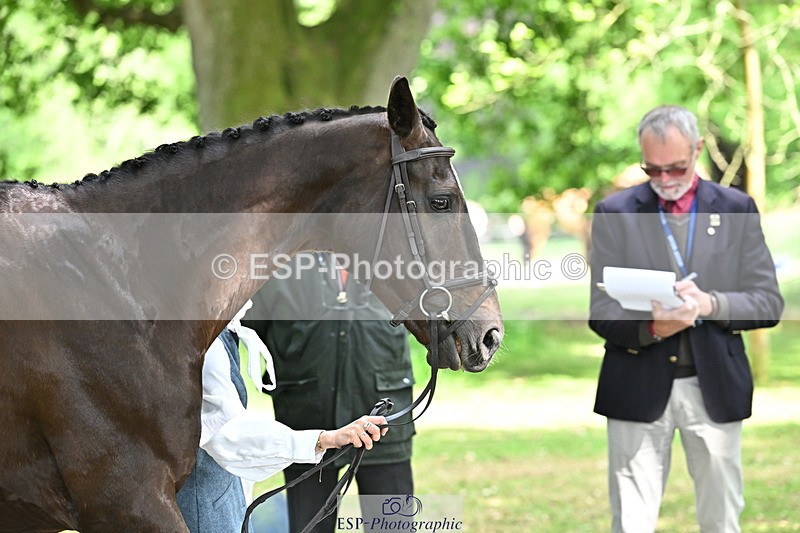 250521A-152202-00456 - B-379-Kelli.Frewin-HIDDEN.GOLD