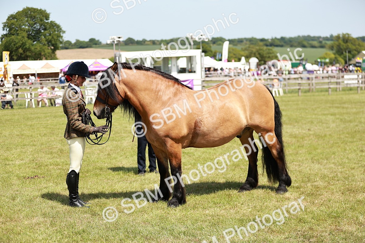 SBM_07150 - Class 26-30 - Mountain and Moorland Ridden