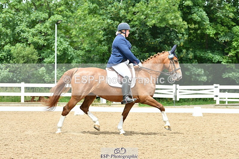 230701A-134149-06349 - Cls 12, 15 + 19 Music Medium, Adv Medium + Inter I