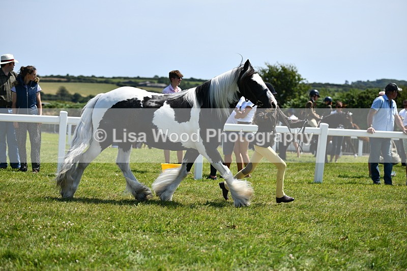 DSC_7591 - Class 64: Coloured Pony 4yrs & over