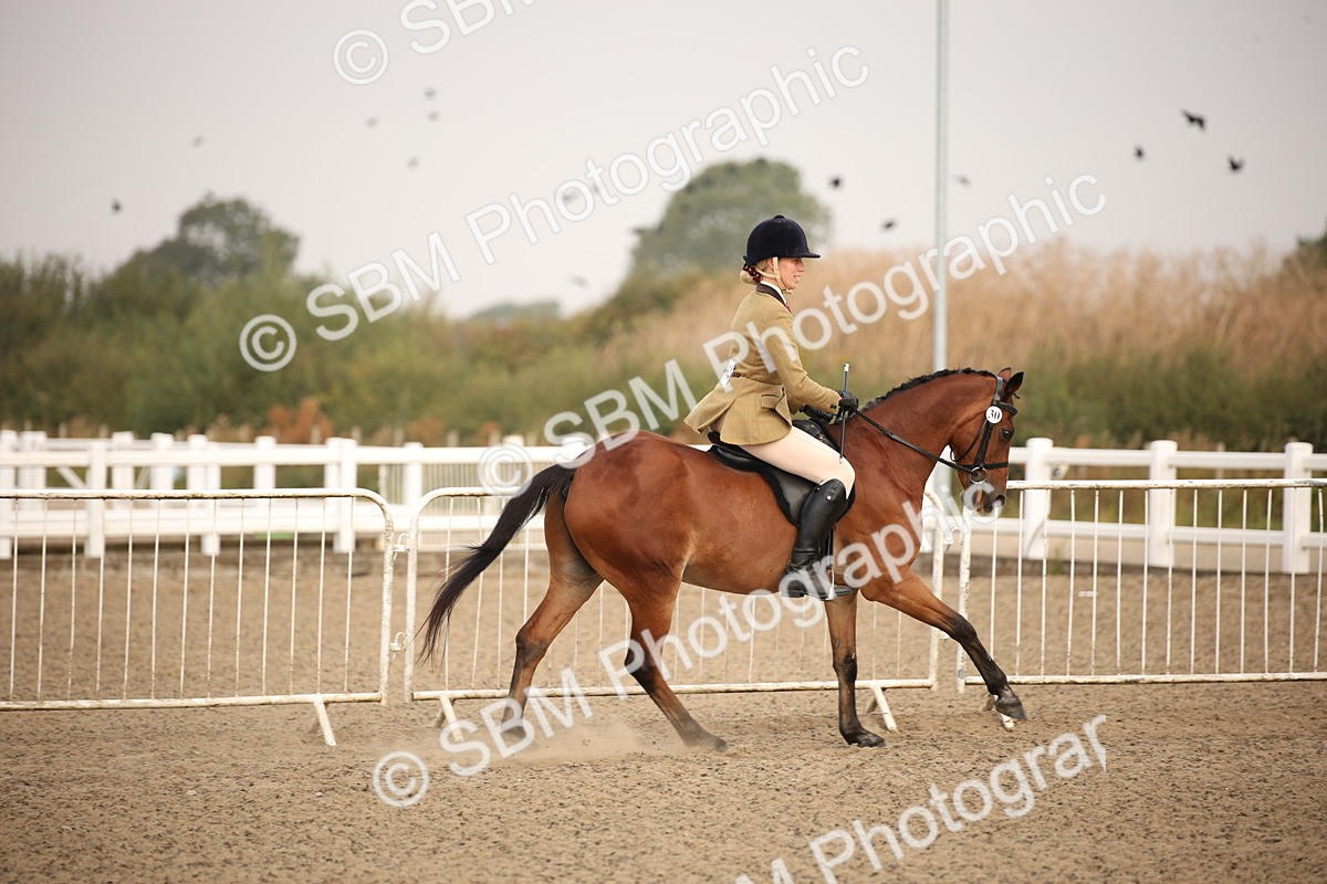 SBM_09787 - Class 401 Riding Club Pony