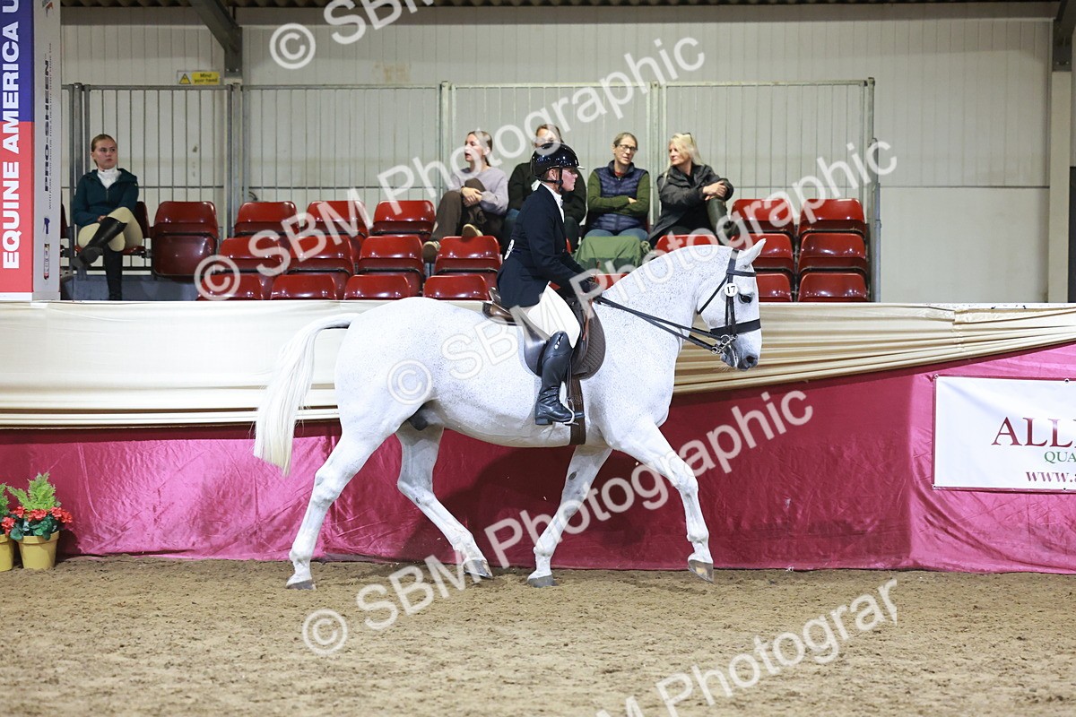 SBM_21145 - class Q - Ridden Horse Champ