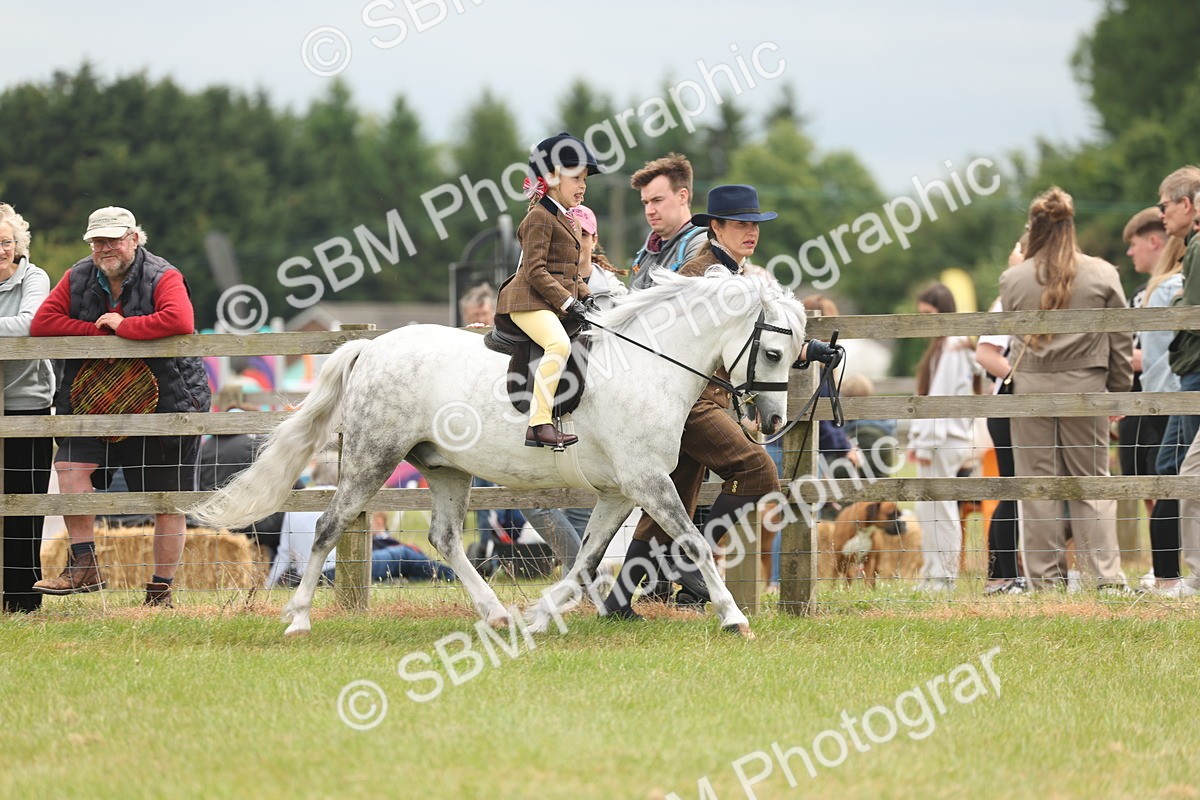 SBM_06693 - Class 74-75 - M&M Lead Rein and First Ridden Pony