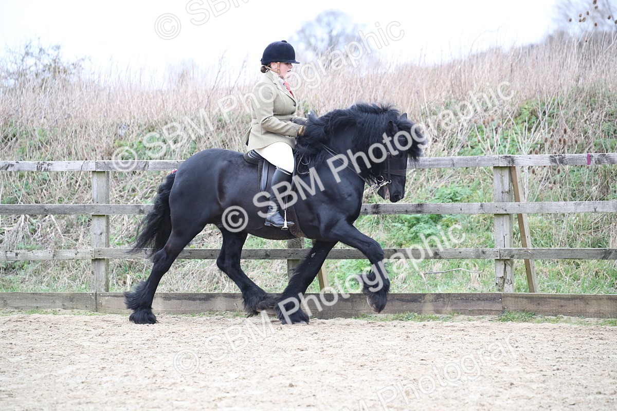 SBM_006291 - Class 10-13 - RIHS Small Large Breeds