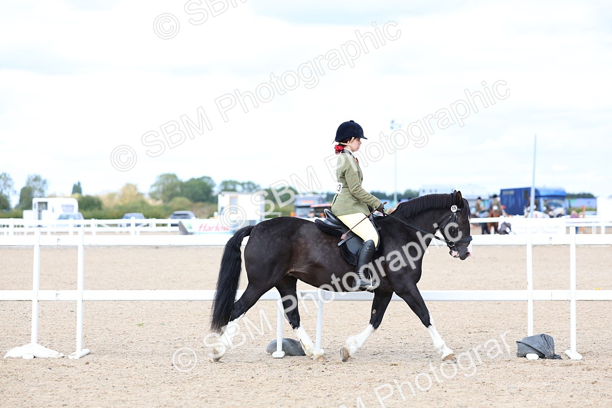 SBM_15767 - Class 314 - Family Horse - Pony