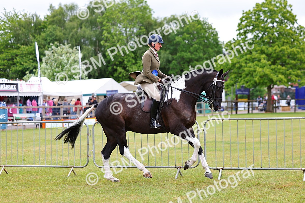 SBM_02619 - Class 9-11 Side Saddle including LIHS Rising Star Ladies Show Horse