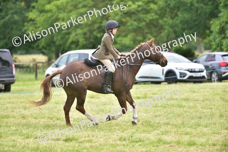 20260614-2674 - Class 13 - Pony Club Pony