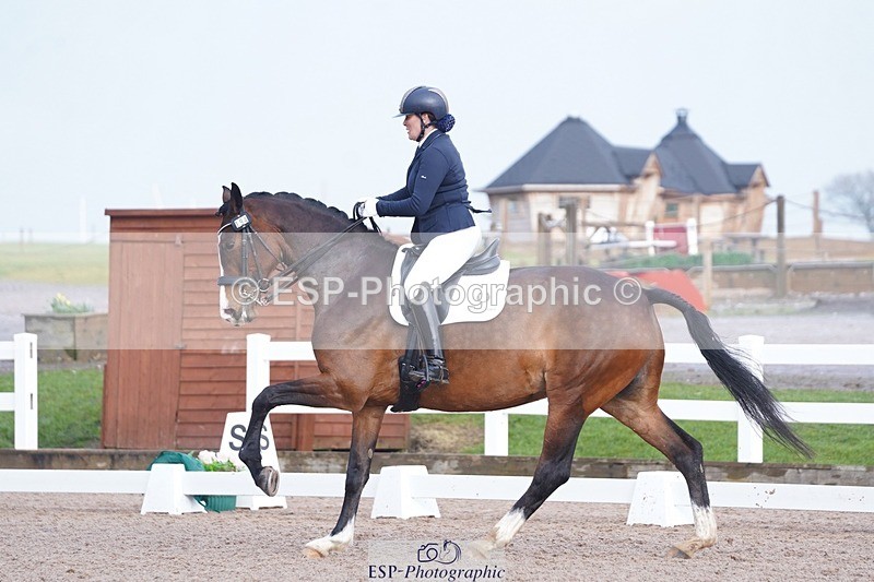 250215-144804-04359 - 194-Fay.Lai-Greenlanes.Lullaby