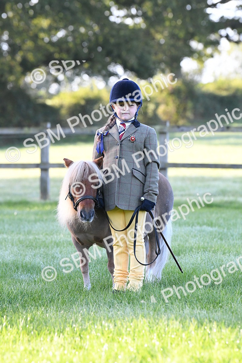 SBM_32677 - S15 - Condition & Turnout In Hand