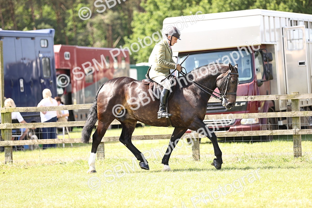 SBM_13704 - Class 77 - LIHS BSHA Rising Star Cobs