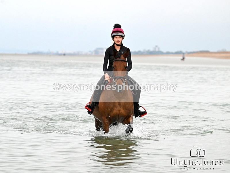 WJ7_9233 - Hayling Island Beach Shoot 22-09-24
