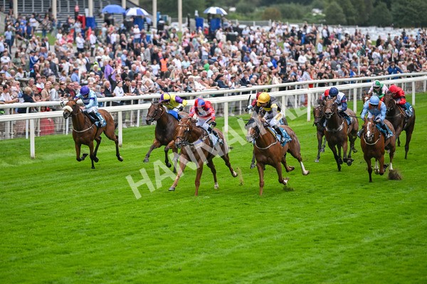 080925-Race 2-Alzahir-7399 - Race 2 3.00pm Sky Bet Super Sub Sprint Handicap