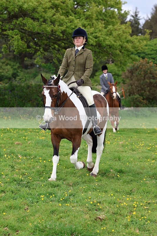 3E7A1458 - Class 8: Ridden Veteran Junoir and Senior