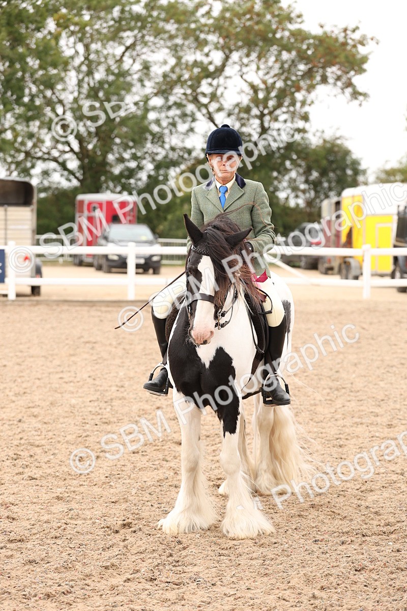 SBM_19740 - Class 216 - Ridden Traditional - Native Cob