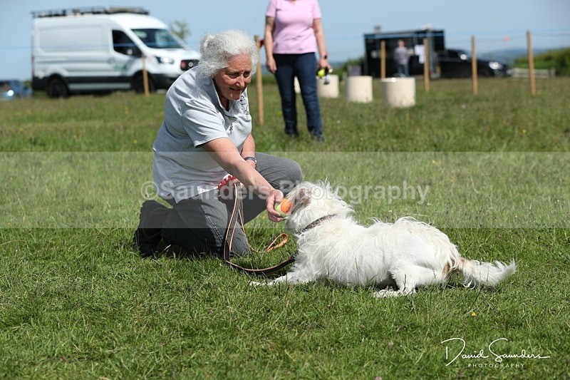 SPXX0607 - Dog show
