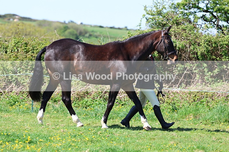 3E7A9862 - Class 17: Young Handler