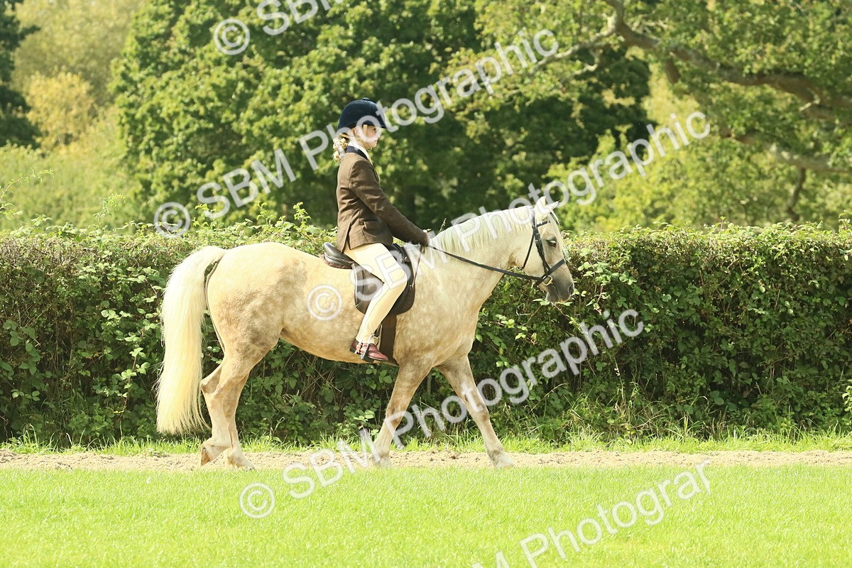 SBM_67385 - S56 - Coloured Pony Ridden