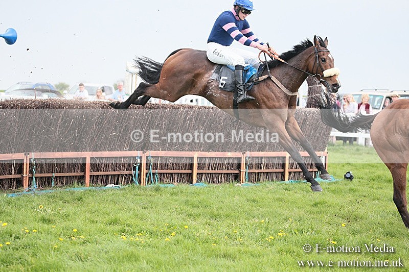 PtP 210418 370 - South & West Wilts Point-to-Point Larkhill 21/04/18