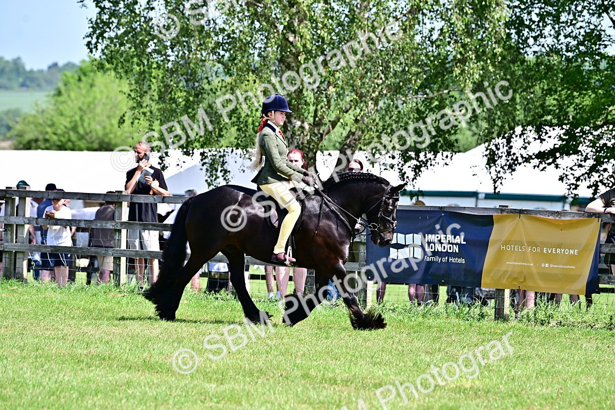 SBM_13871 - Class 95-97 - BSPS LHS Performance Ponies