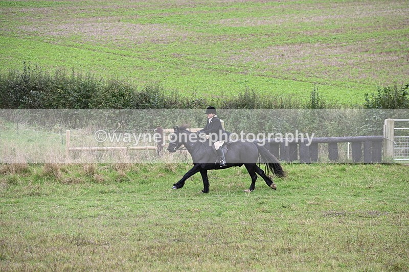 WJ6_1215 - Camera 2 Line 2