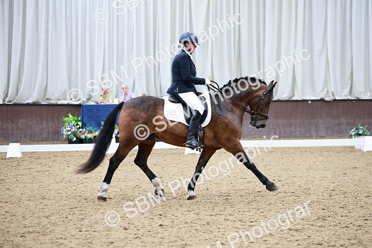 SBM_002537
