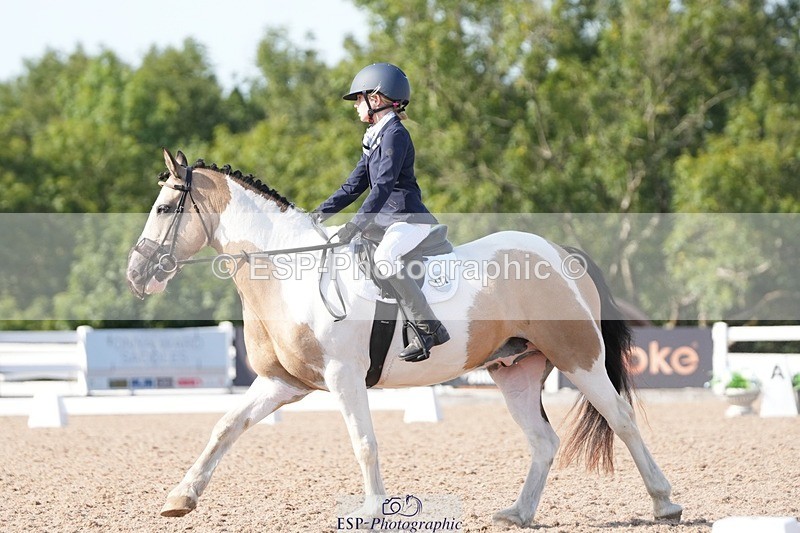 250817-165016-11776 - 172-Lilly.PapworthCammach.Wheres.Whally