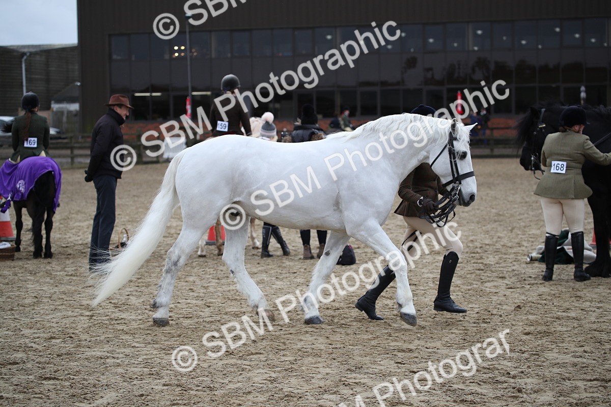 SBM_006409 - Class 10-13 - RIHS Small Large Breeds