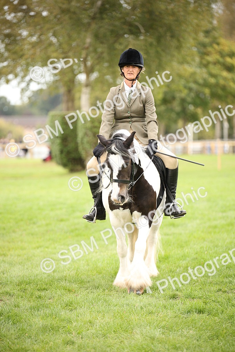 SBM_73555 - S68 - Traditional Cob Ridden