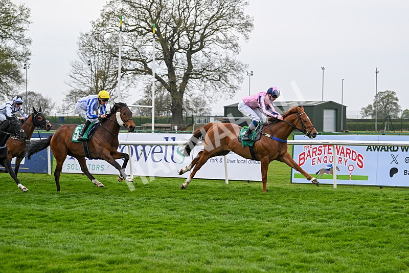 120425-Race 4-Alzahir-1170 - Race 4