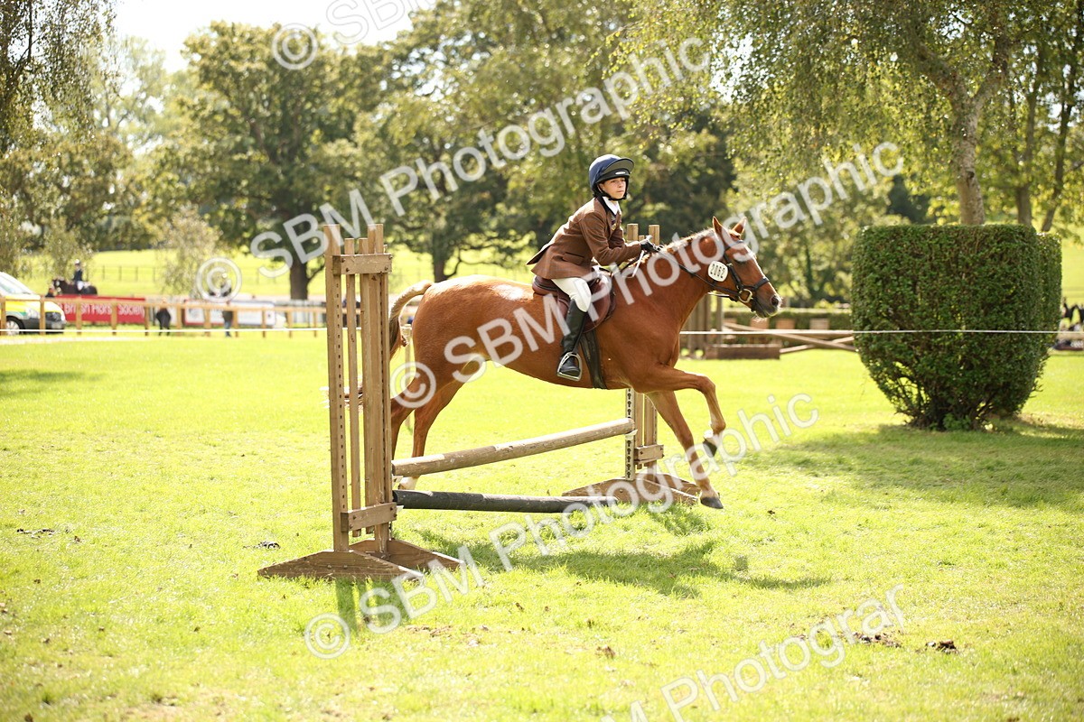 SBM_42271 - S13 - Pony Club Pony
