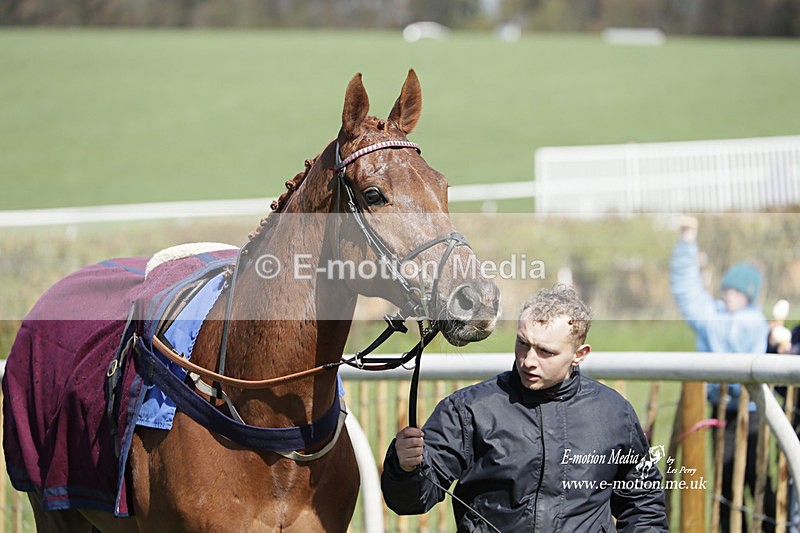 PtP 100423 452 - Old Berkshire Point-to-Point Lockinge 10/04/23