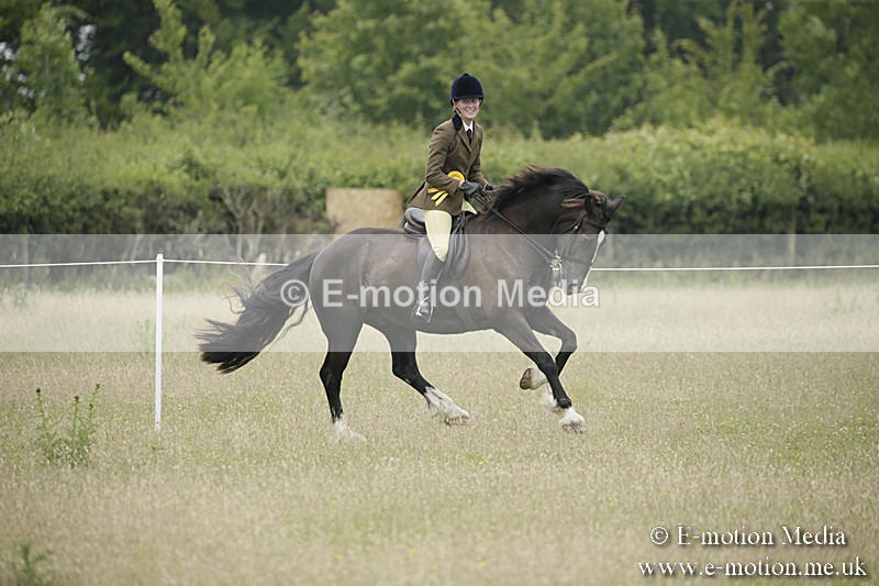 B230619-0553 - Bourne Valley Riding Club Summer Show 23/06/19