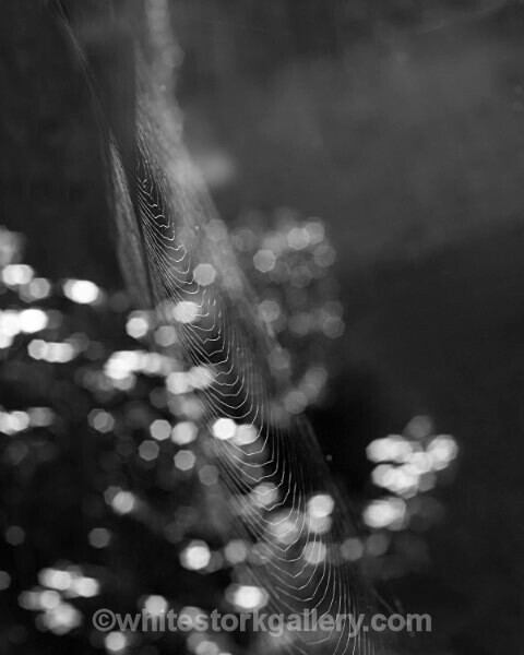  - Slow Photography