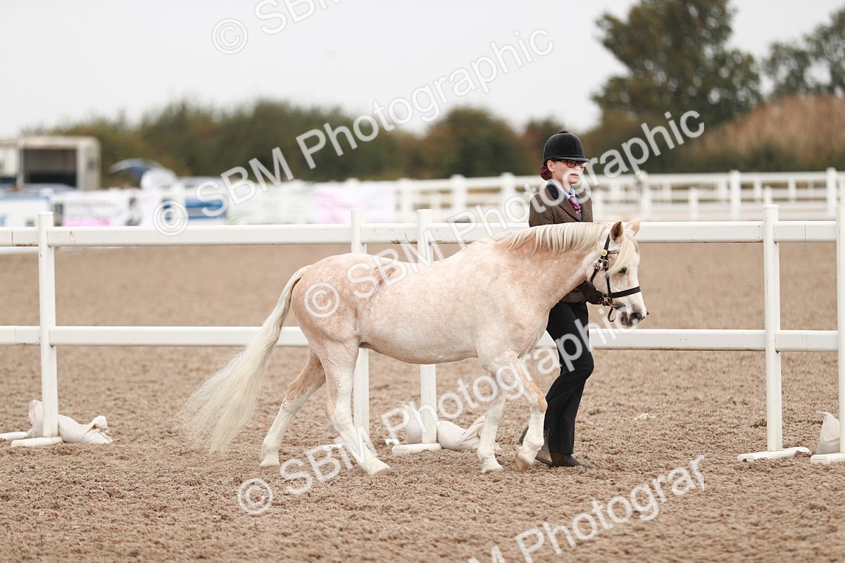 SBM_12404 - Class 207 IH M&M