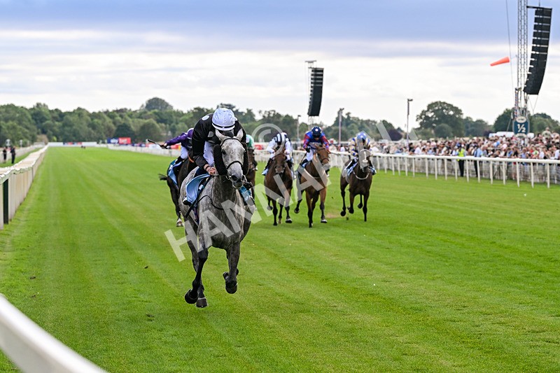 250726-Race 6-Likealot-7676 - Race 6 16.17pm Sky Bet Build A Bet Handicap