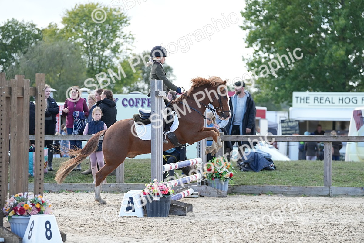 SBM_46736 - J7 - Junior Pony 60cm Championship