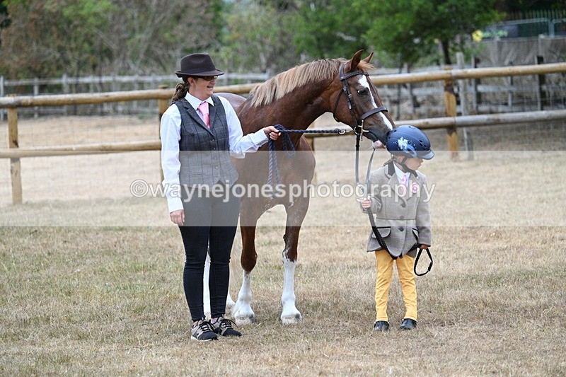 WJ7_8089 - Class 4 Prettiest Mare up to 14.2hh