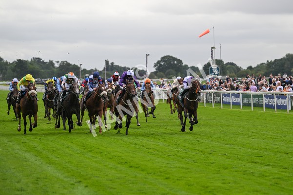 220824-Race 2-Diligently-6806 - Race 2 2.25pm Harry's Half Million By Goffs Premier Yearling Stakes