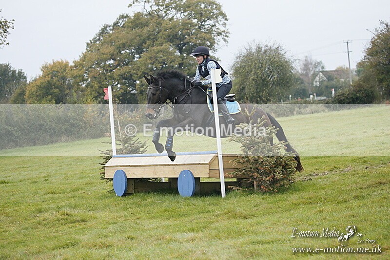 WWHT 181020 WWHT 181020 482 - WWEC Open Novice (0.80m) 18/10/20