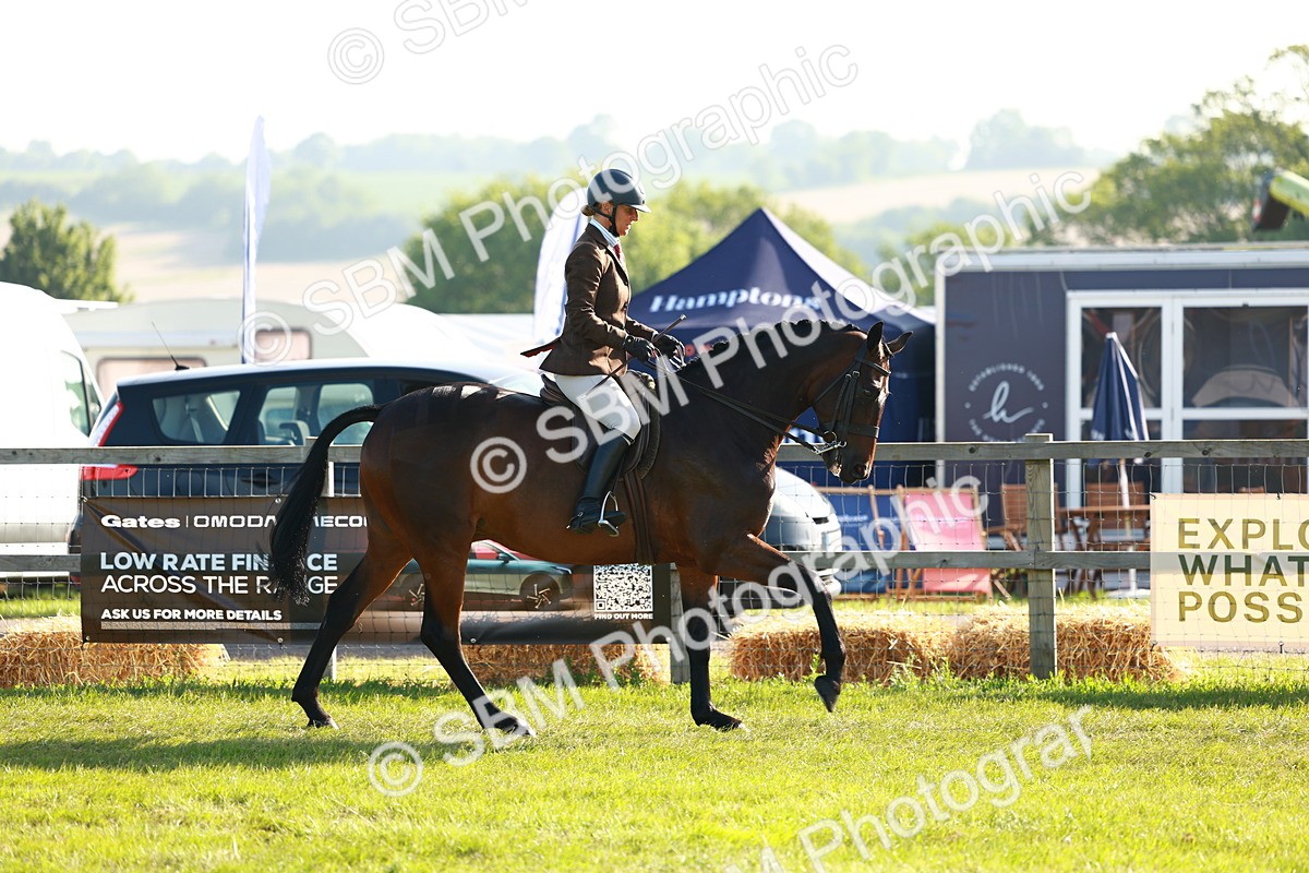 SBM_10743 - Class 66-69 - RIHS Ridden Hunters Inc Small Hunter