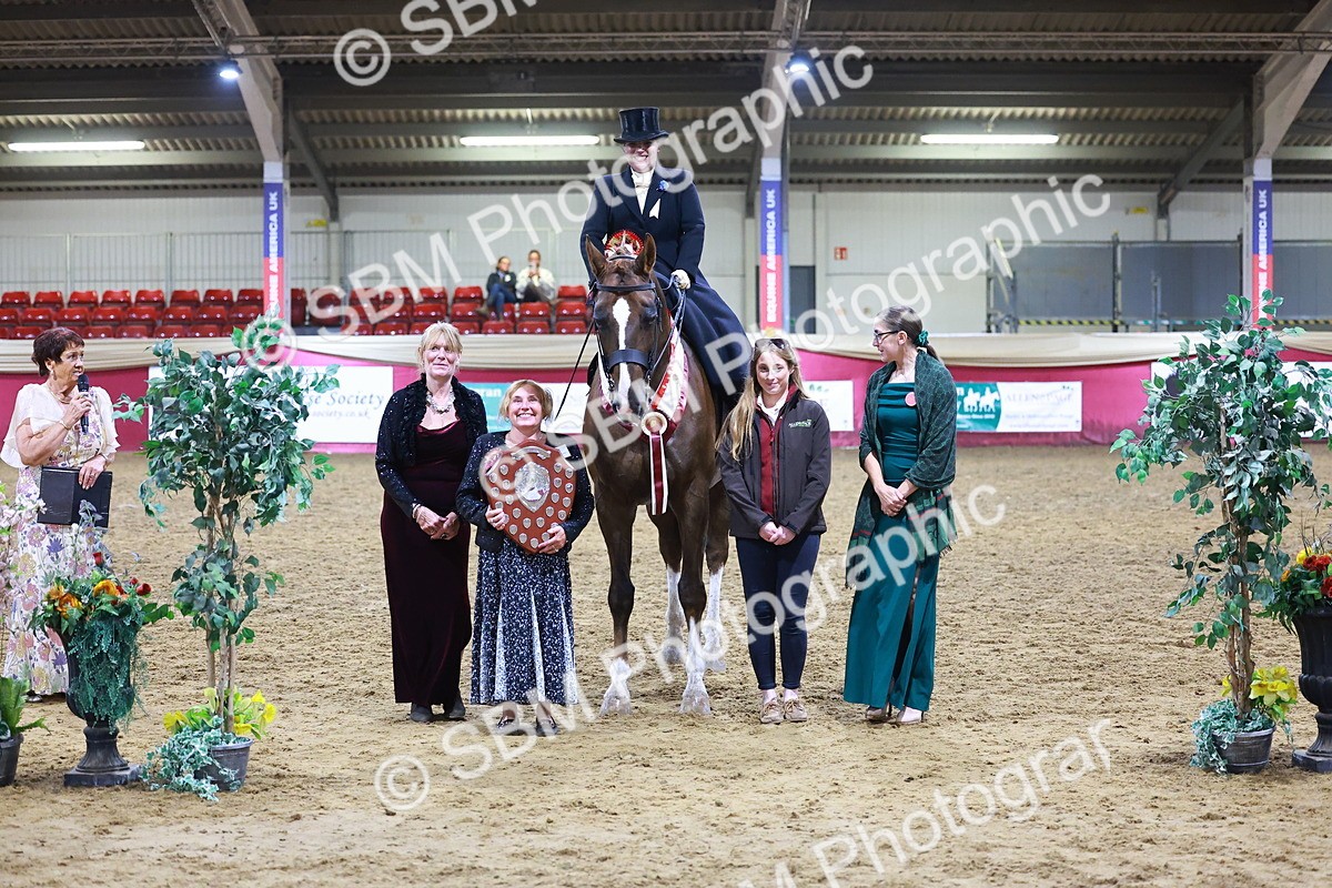 SBM_15453 - Class Q - Ridden Horse Champ