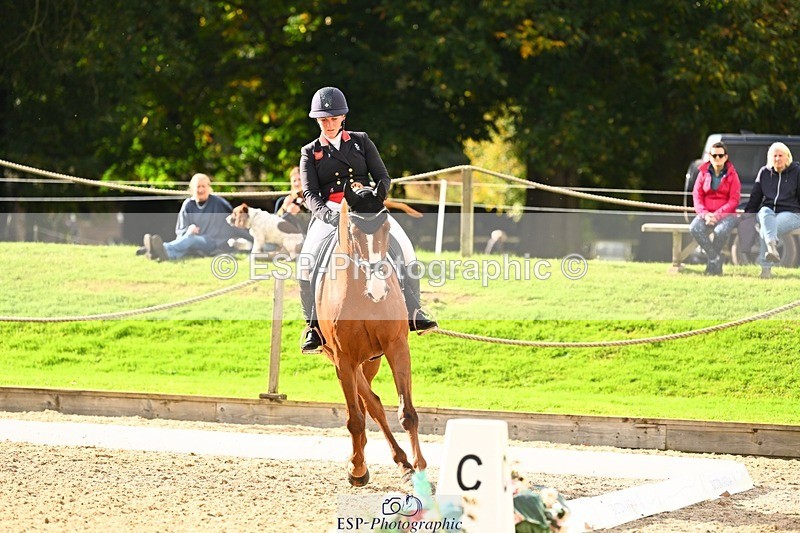 231020-140924-09850 - 305-CHILLI.KNIGHT-Gemma.Stevens-DR