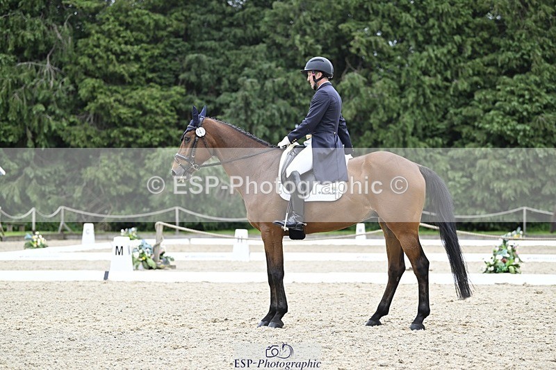 240523-161459-05432 - 443-FIGARO_DES_PREMICES-Alexander_Peternell