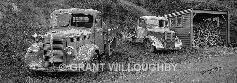 Old timers NZ BW - New Zealand