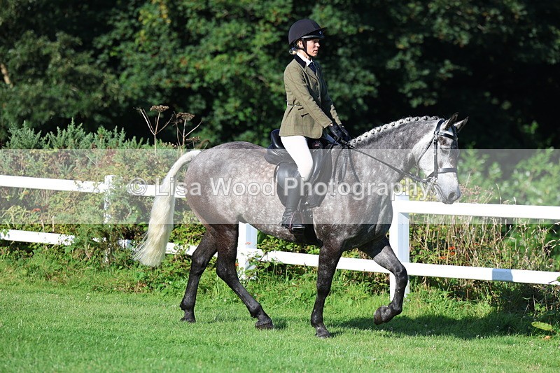 3E7A7557 - Class 1: Novice Working Hunter Pony
