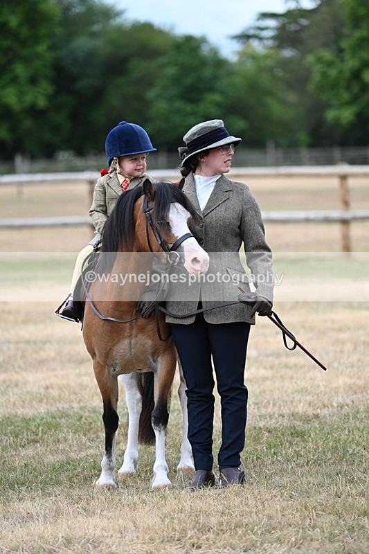 WJ7_9700 - Class 1 Lead Rein Pony