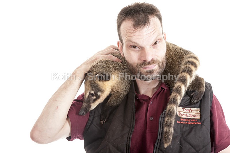 2SKJ8871 - Roaming Reptile Show. II