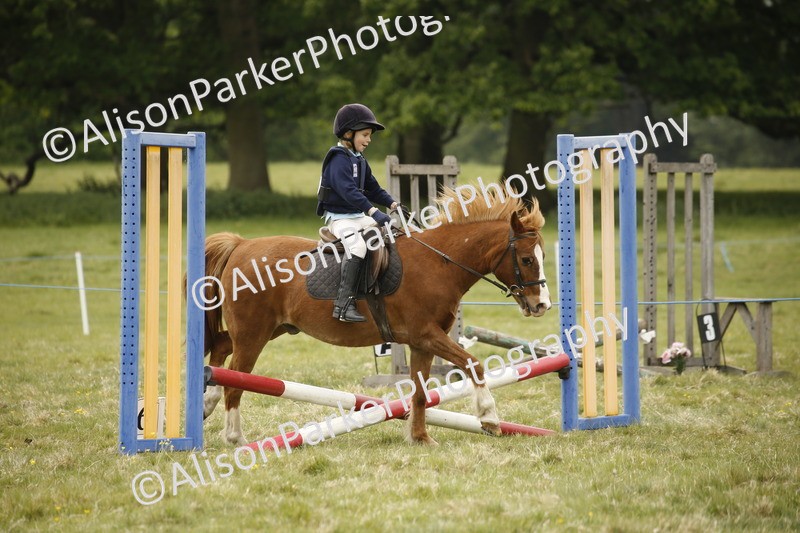 20250517-0850 - Class 2 - 30cm Off Lead Rein