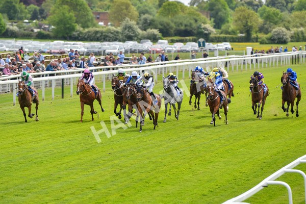170523-Race 1-Scampi-8555 - Race 1 1.50pm Sky Bet Race To The Ebor Jorvik Handicap