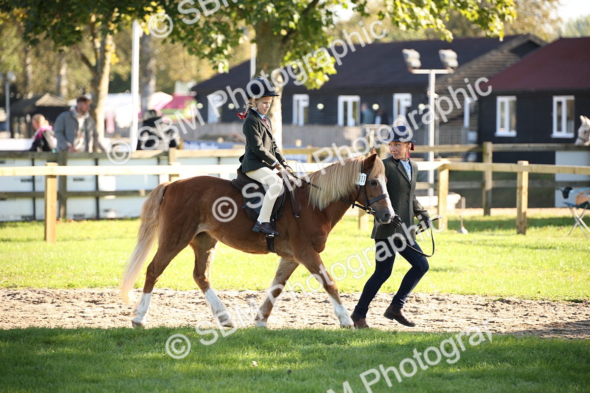 SBM_35661 - S9 - Lead Rein Equitation
